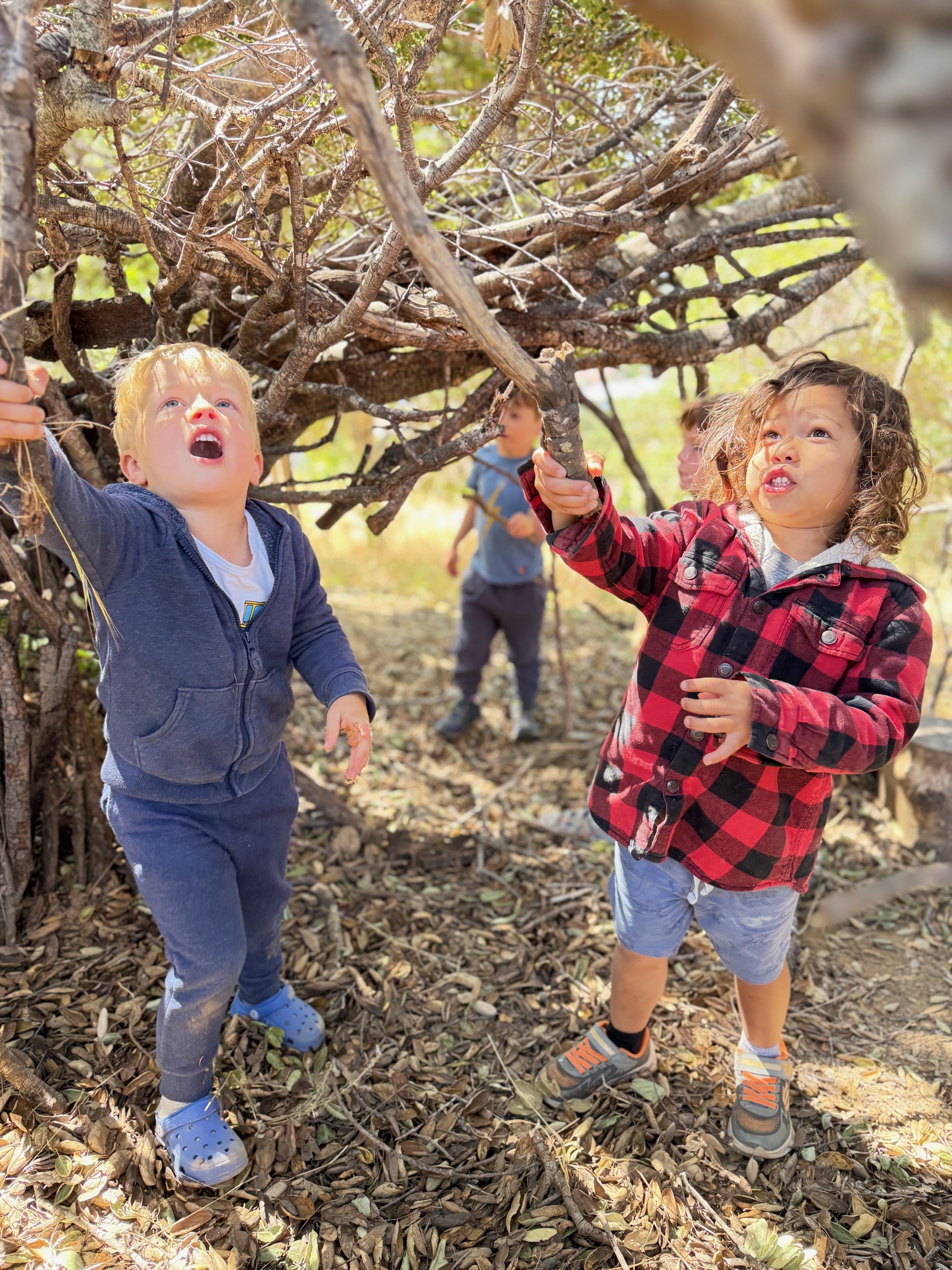 Kids exploring nature together